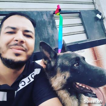 octagon - date a Swiss, 100% free octagon