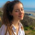 Hauts-de-France chat