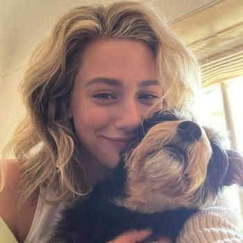 Veroniquerouer 詐欺師および偽のプロファイルの禁止 suissi.ch